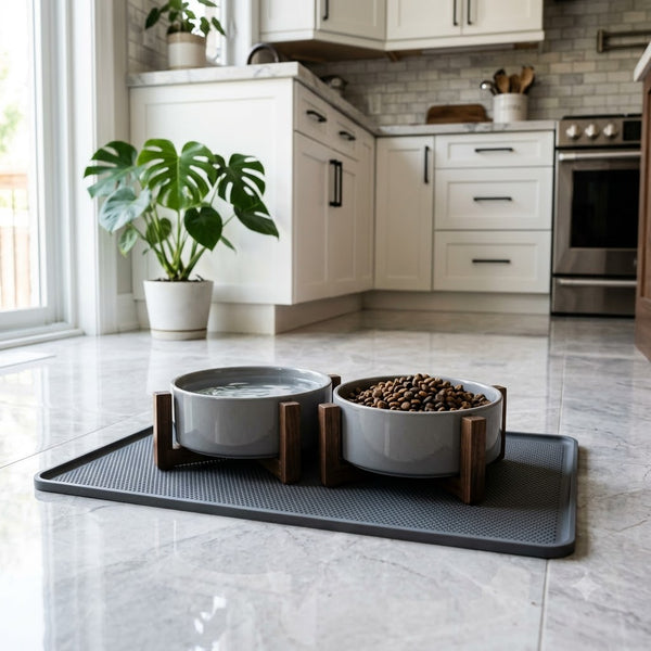 Feeding Bowls & Water Dispensers