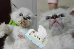 4FurBaby Dog & Cat Grooming Wipes