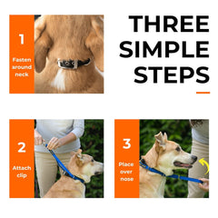 Canny Collar – Gentle Headcollar for Comfortable Dog Walking & Training