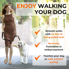 Canny Collar – Gentle Headcollar for Comfortable Dog Walking & Training