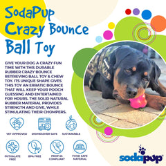 Crazy Bounce Rubber Dog Chew Toy