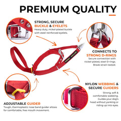 Canny Collar – Gentle Headcollar for Comfortable Dog Walking & Training