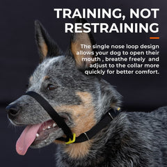 Canny Collar – Gentle Headcollar for Comfortable Dog Walking & Training