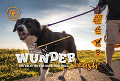 WUNDERleash – Original No-Pull Dog Leash for Comfortable Walking & Training
