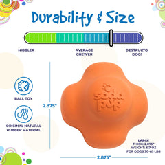 Crazy Bounce Rubber Dog Chew Toy