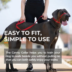 Canny Collar – Gentle Headcollar for Comfortable Dog Walking & Training