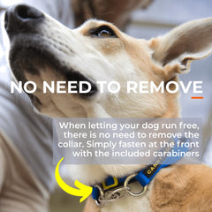 Canny Collar – Gentle Headcollar for Comfortable Dog Walking & Training