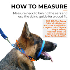 Canny Collar – Gentle Headcollar for Comfortable Dog Walking & Training
