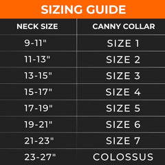 Canny Collar – Gentle Headcollar for Comfortable Dog Walking & Training