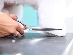 Zora A-800C Curved Pet Grooming Shears