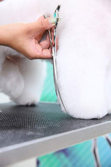 Zora A-800C Curved Pet Grooming Shears