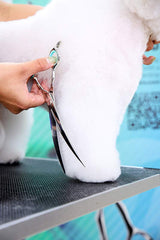 Zora A-800C Curved Pet Grooming Shears