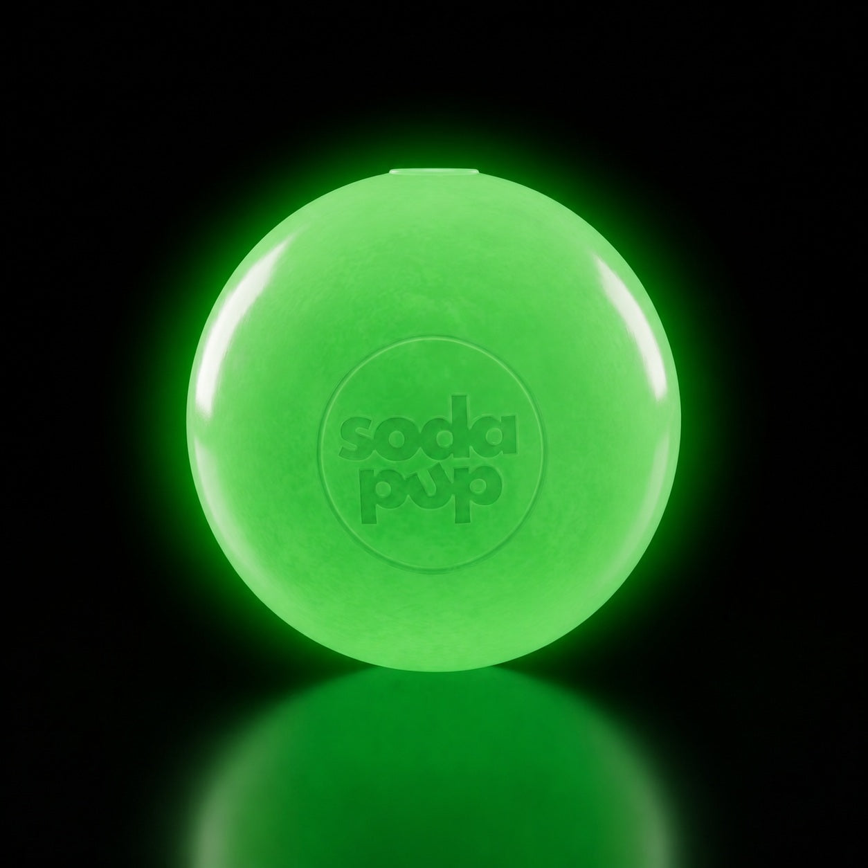Durable Squeak Ball Dog Toy