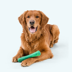 Drifty – Fun Interactive Dog Toy for Play & Enrichment