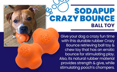 Crazy Bounce Rubber Dog Chew Toy