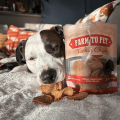 Turkey Chips for Dogs – All-Natural Single-Ingredient Dog Treats