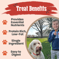 Turkey Chips for Dogs – All-Natural Single-Ingredient Dog Treats