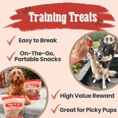 Turkey Chips for Dogs – All-Natural Single-Ingredient Dog Treats