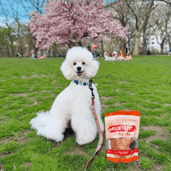 Turkey Chips for Dogs – All-Natural Single-Ingredient Dog Treats