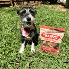Turkey Chips for Dogs – All-Natural Single-Ingredient Dog Treats