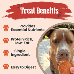 Turkey Chips for Dogs – All-Natural Single-Ingredient Dog Treats