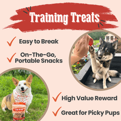 Turkey Chips for Dogs – All-Natural Single-Ingredient Dog Treats