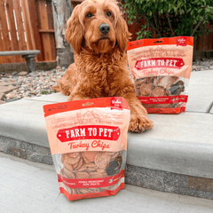 Turkey Chips for Dogs – All-Natural Single-Ingredient Dog Treats