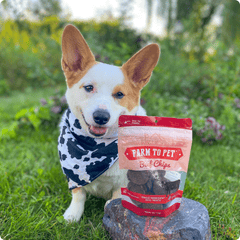 Beef Chips Dog Treats | Single-Ingredient Healthy Treats for Dogs