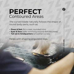 Zora A-800C Curved Pet Grooming Shears