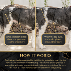 Calm Command© Hands-Free No-Pull Dog Leash