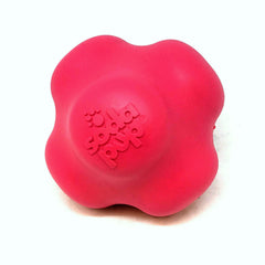 Crazy Bounce Rubber Dog Chew Toy