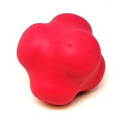 Crazy Bounce Rubber Dog Chew Toy
