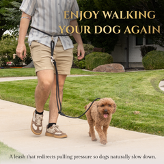 Calm Command© Hands-Free No-Pull Dog Leash