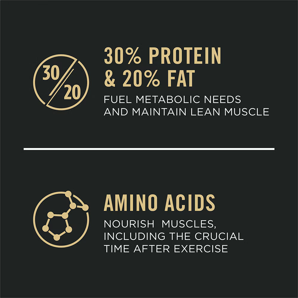 Pro Plan All Ages Sport Performance 30/20 Salmon & Rice Formula Dry Dog Food