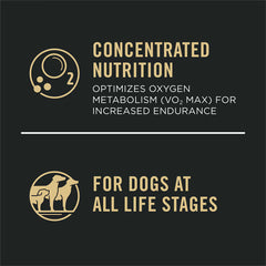 Pro Plan All Ages Sport Performance 30/20 Salmon & Rice Formula Dry Dog Food