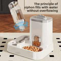 Automatic Pet Water Dispenser & Food Bowl
