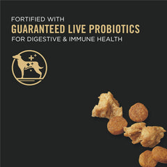 Pro Plan Puppy Shredded Blend Chicken & Rice Formula Dry Dog Food