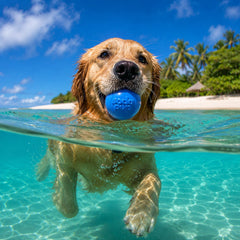 Durable Squeak Ball Dog Toy
