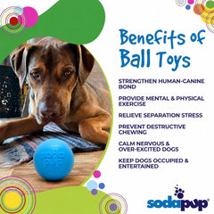 Durable Squeak Ball Dog Toy