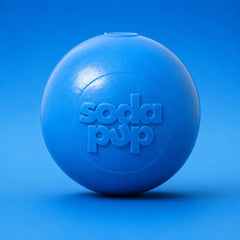 Durable Squeak Ball Dog Toy