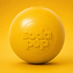 Durable Squeak Ball Dog Toy