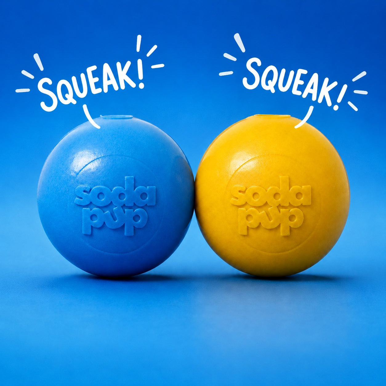 Durable Squeak Ball Dog Toy