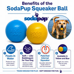 Durable Squeak Ball Dog Toy