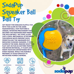 Durable Squeak Ball Dog Toy