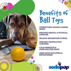 Durable Squeak Ball Dog Toy