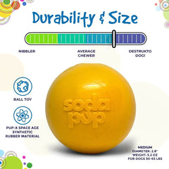 Durable Squeak Ball Dog Toy
