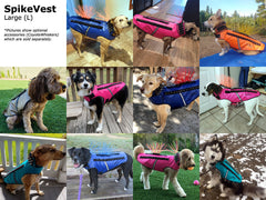 SpikeVest – Protective Dog Vest for Training & Outdoor Activities