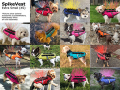 SpikeVest – Protective Dog Vest for Training & Outdoor Activities