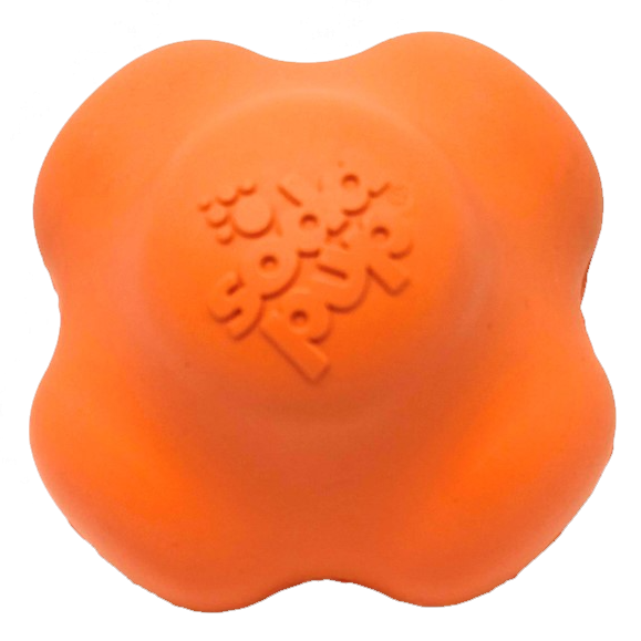 Crazy Bounce Rubber Dog Chew Toy