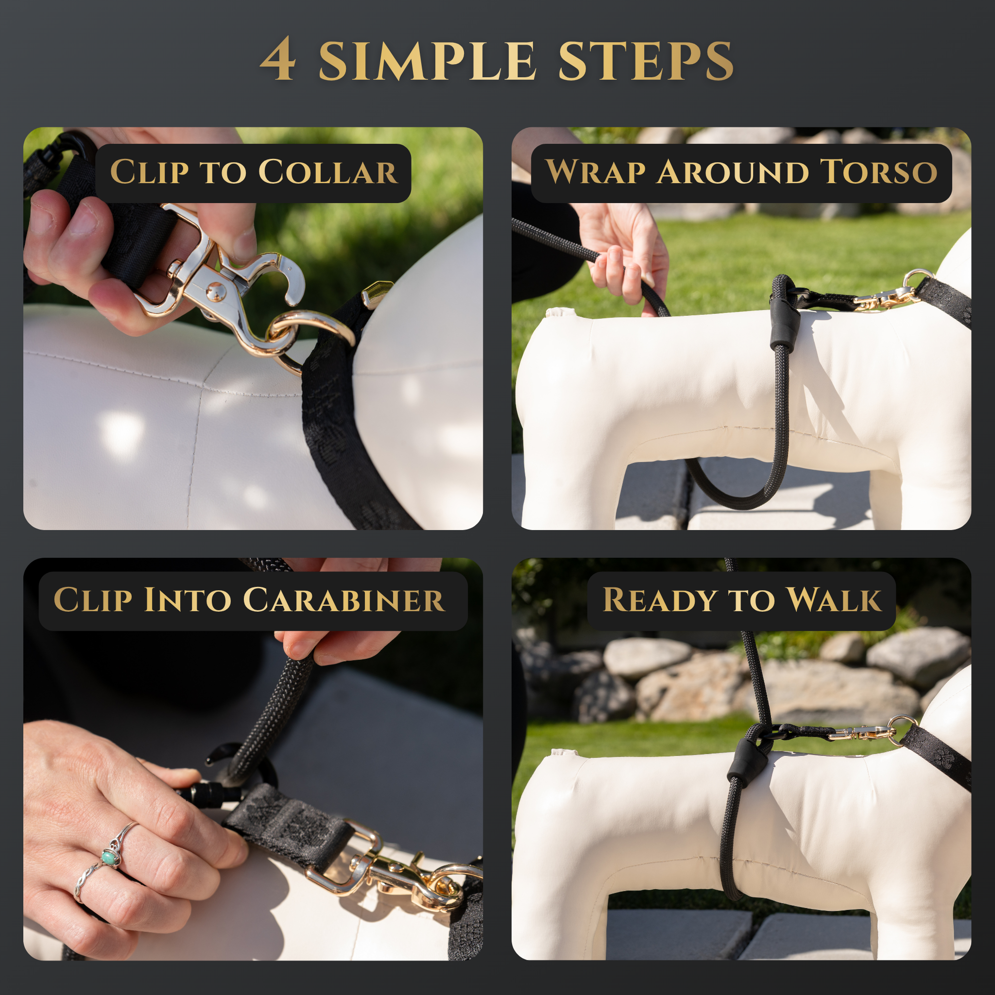 Calm Command© Hands-Free No-Pull Dog Leash